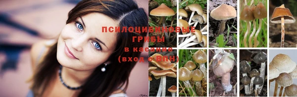 скорость Бронницы