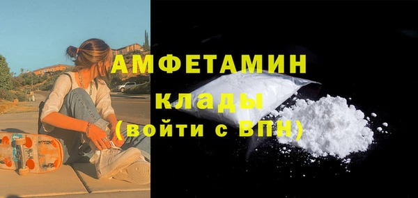 apvp Бородино