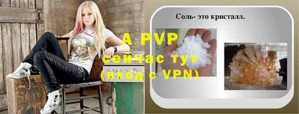 apvp Бородино