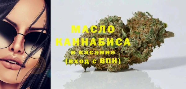индика Богданович