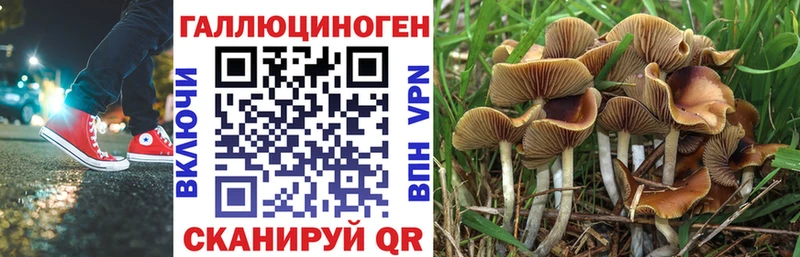 Псилоцибиновые грибы прущие грибы  Карпинск 